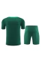 Portugal National Football Team Men Short Sleeves Football Kit Green 2024-25