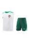 Portugal National Football Team Men Vest Football Kit 2024-25