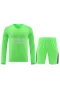 Real Madrid CF Men Goalkeeper Long Sleeves Football Kit Green