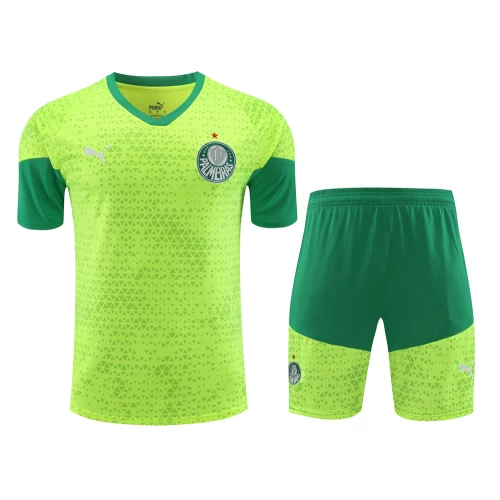 Sociedade Esportiva Palmeiras Men Short Sleeve Football Kit 2024-25