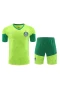 Sociedade Esportiva Palmeiras Men Short Sleeve Football Kit 2024-25