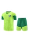 Sociedade Esportiva Palmeiras Men Short Sleeve Football Kit 2024-25