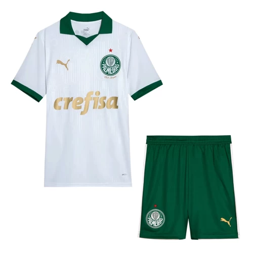 Sociedade Esportiva Palmeiras Men Short Sleeves Away Football Kit 2024-25