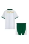 Sociedade Esportiva Palmeiras Men Short Sleeves Away Football Kit 2024-25