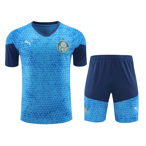 Sociedade Esportiva Palmeiras Men Short Sleeves Football Kit Blue 2024-25 