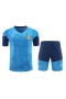 Sociedade Esportiva Palmeiras Men Short Sleeves Football Kit Blue 2024-25 