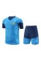 Sociedade Esportiva Palmeiras Men Short Sleeves Football Kit Blue 2024-25 