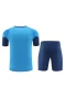 Sociedade Esportiva Palmeiras Men Short Sleeves Football Kit Blue 2024-25 