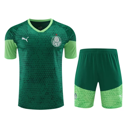 Sociedade Esportiva Palmeiras Men Short Sleeves Football Kit Dark Green 2024-25