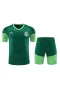 Sociedade Esportiva Palmeiras Men Short Sleeves Football Kit Dark Green 2024-25