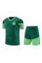 Sociedade Esportiva Palmeiras Men Short Sleeves Football Kit Dark Green 2024-25