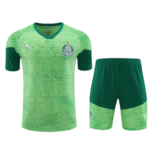 Sociedade Esportiva Palmeiras Men Short Sleeves Football Kit Green 2024-25