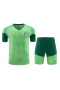 Sociedade Esportiva Palmeiras Men Short Sleeves Football Kit Green 2024-25