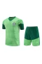 Sociedade Esportiva Palmeiras Men Short Sleeves Football Kit Green 2024-25