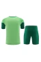 Sociedade Esportiva Palmeiras Men Short Sleeves Football Kit Green 2024-25