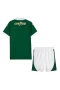 Sociedade Esportiva Palmeiras Men Short Sleeves Home Football Kit 2024-25