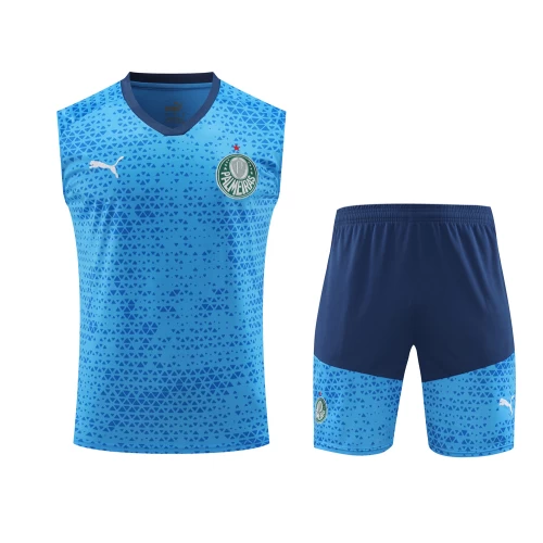 Sociedade Esportiva Palmeiras Men Sleeveless Football Kit Blue 2024-25