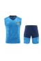 Sociedade Esportiva Palmeiras Men Sleeveless Football Kit Blue 2024-25