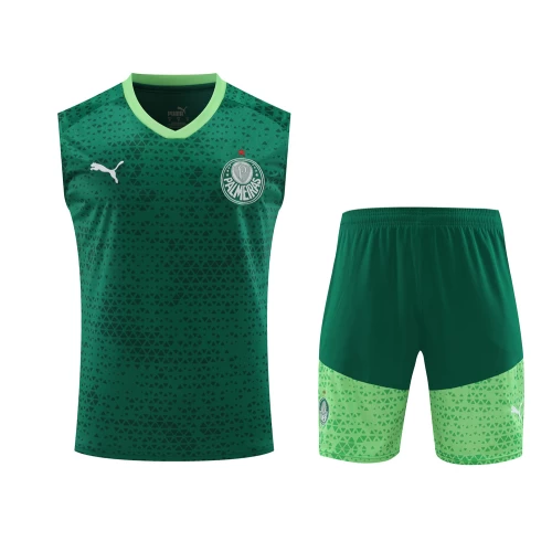 Sociedade Esportiva Palmeiras Men Sleeveless Football Kit Dark Green 2024-25