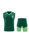 Sociedade Esportiva Palmeiras Men Sleeveless Football Kit Dark Green 2024-25