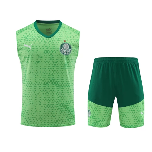 Sociedade Esportiva Palmeiras Men Sleeveless Football Kit Green 2024-25