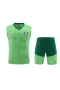 Sociedade Esportiva Palmeiras Men Sleeveless Football Kit Green 2024-25