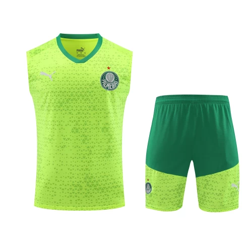 Sociedade Esportiva Palmeiras Men Vest Football Kit 2024-25