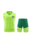 Sociedade Esportiva Palmeiras Men Vest Football Kit 2024-25