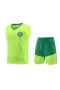 Sociedade Esportiva Palmeiras Men Vest Football Kit 2024-25