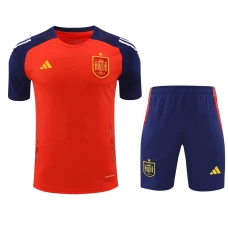 Spain National Football Team Men Short Sleeves Football Kit 2024-25