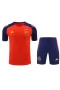 Spain National Football Team Men Short Sleeves Football Kit 2024-25