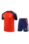 Spain National Football Team Men Short Sleeves Football Kit 2024-25