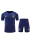 Spain National Football Team Men Short Sleeves Football Kit Dark Blue 2024-25