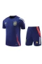 Spain National Football Team Men Short Sleeves Football Kit Dark Blue 2024-25