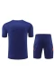 Spain National Football Team Men Short Sleeves Football Kit Dark Blue 2024-25