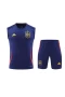 Spain National Football Team Men Sleeveless Football Kit Dark Blue 2024-25