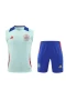 Spain National Football Team Men Vest Football Kit 2024-25