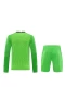 Tottenham Hotspur FC Men Goalkeeper Long Sleeves Football Kit Green