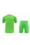 Tottenham Hotspur FC Men Goalkeeper Short Sleeves Football Kit Green