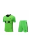 Tottenham Hotspur FC Men Goalkeeper Short Sleeves Football Kit Green