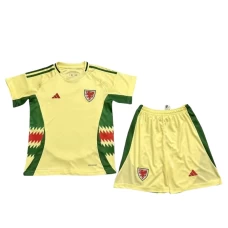 Wales National Football Team Kid Short Sleeves Away Football Kit 2024-25