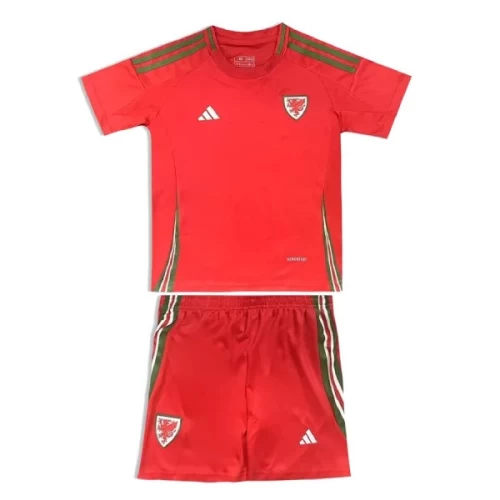 Wales National Football Team Kid Short Sleeves Home Football Kit 2024-25